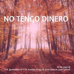 Cover art for No Tengo Dinero - A.B. Quintanilla III Y Los Kumbia Kings,El Gran Silencio,Juan Gabriel karaoke version