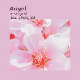 Cover art for Angel - Natasha Bedingfield karaoke version