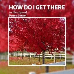 Karaokekappaleen How Do I Get There - Deana Carter kansikuva