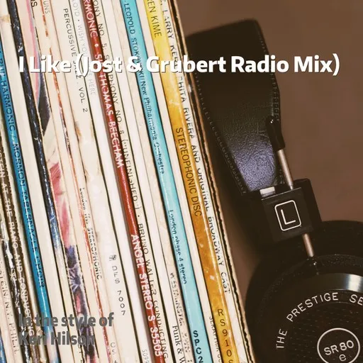 Karaoke I Like (Jost & Grubert Radio Mix) av Keri Hilson — sjung med på texten på Singa