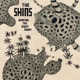 Cover art for Phantom Limb - The Shins karaoke version
