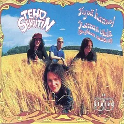 Tehosekoitin - Karaoke