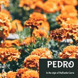 Cover art for Pedro - Raffaella Carrà karaoke version