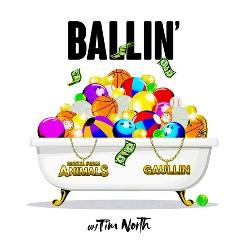 Karaoke Ballin' by Digital Farm Animals, Gaullin, Tim North — sing along with lyrics on Singa
