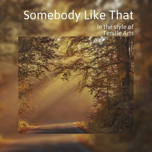 Karaoke Somebody Like That von Tenille Arts — mit Songtext mitsingen auf Singa