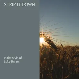 Cover art for Strip It Down - Luke Bryan karaoke version