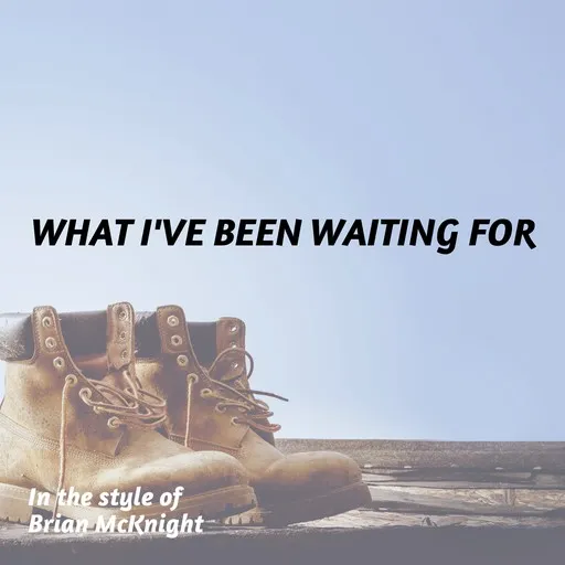 What I've Been Waiting For - Karaoke