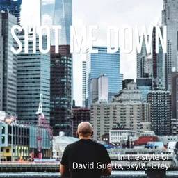 Cover art for Shot Me Down - David Guetta,Skylar Grey karaoke version