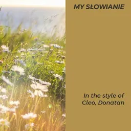 Cover art for My Słowianie - Cleo,Donatan karaoke version