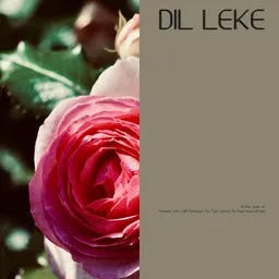 Titelbild für Dil Leke - Na Tum Jaano Na Hum Soundtrack,Pamela Jain,Udit Narayan Karaoke-Version