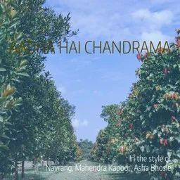 Omslagsbild för Aadha Hai Chandrama - Asha Bhosle,Mahendra Kapoor,Navrang karaokeversion