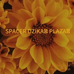 Cover art for Spacer dziką plażą - Bizony,Stan Borys karaoke version