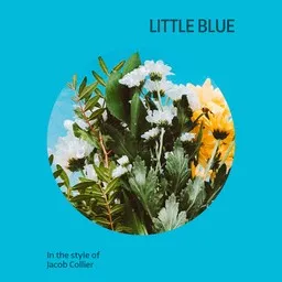 Cover art for Little Blue - Brandi Carlile,Jacob Collier karaoke version