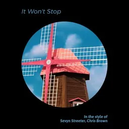 Cover art for It Won't Stop - Chris Brown,Sevyn Streeter karaoke version