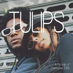 Cover art for Tulips - Christopher (DEN) karaoke version