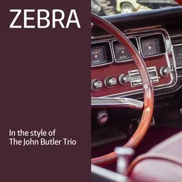 Omslagsbild för Zebra - The John Butler Trio karaokeversion