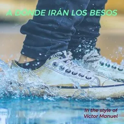 Cover art for A dónde Irán los Besos - Víctor Manuel karaoke version