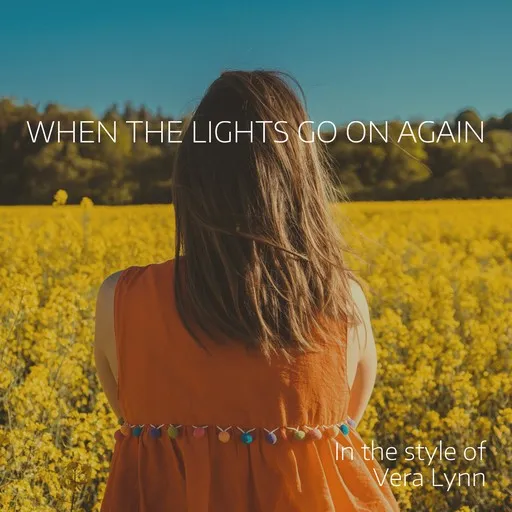 When The Lights Go On Again - Karaoke
