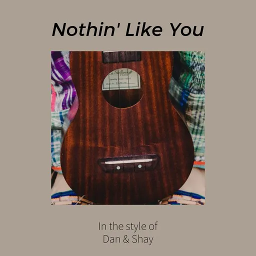 Karaoke Nothin' Like You by Dan + Shay — sing along with lyrics on Singa