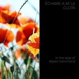 Titelbild für Échame a Mí la Culpa - Albert Hammond Karaoke-Version