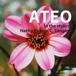 Titelbild für Ateo - C. Tangana,Nathy Peluso Karaoke-Version