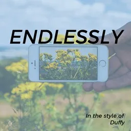 Omslagsbild för Endlessly - Duffy karaokeversion
