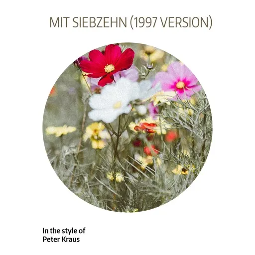 Karaoke Mit Siebzehn (1997 Version) by Peter Kraus — sing along with lyrics on Singa
