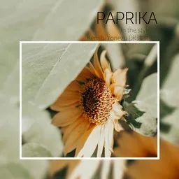 Cover art for パプリカ - Kenshi Yonezu (米津玄師) karaoke version