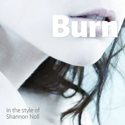 Karaokekappaleen Burn - Shannon Noll kansikuva