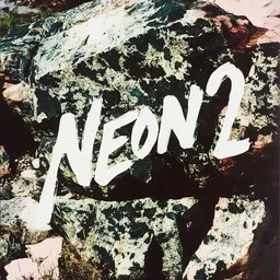 Cover art for Pieninä palasina - Neon 2 karaoke version