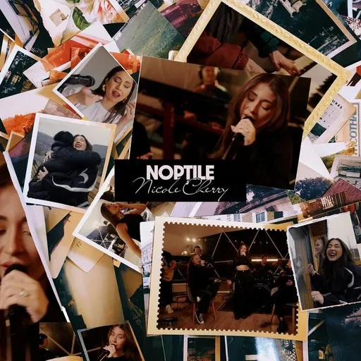 Karaoke Nopțile av Nicole Cherry — sjung med på texten på Singa