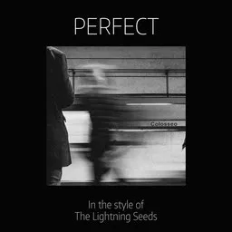 Karaokekappaleen Perfect - The Lightning Seeds kansikuva