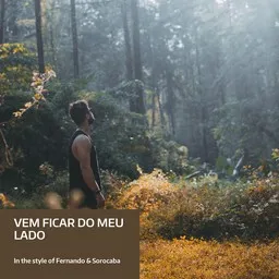 Cover art for Vem Ficar Do Meu Lado - Fernando & Sorocaba karaoke version