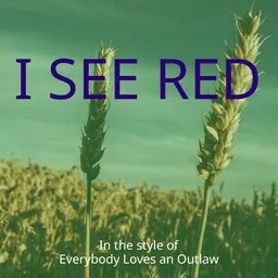 Karaokekappaleen I See Red - Everybody Loves an Outlaw kansikuva