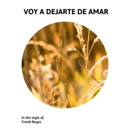 Cover art for Voy A Dejarte De Amar - Frank Reyes karaoke version