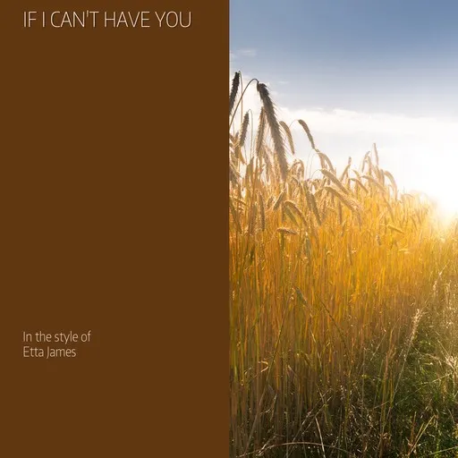 Karaoke If I Can't Have You by Etta James — sing along with lyrics on Singa