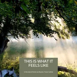 Omslagsbild för This Is What It Feels Like - Armin van Buuren,Trevor Guthrie karaokeversion