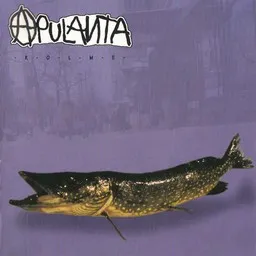 Cover art for Mato - Apulanta karaoke version