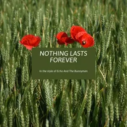 Omslagsbild för Nothing Lasts Forever - Echo & The Bunnymen karaokeversion