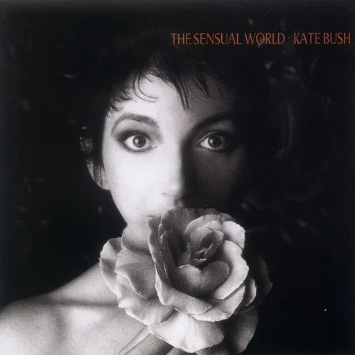 Karaoke Deeper Understanding by Kate Bush — sing along with lyrics on Singa