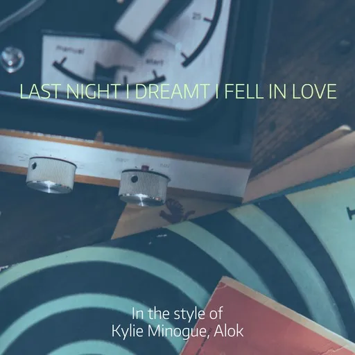 Last Night I Dreamt I Fell in Love - Karaoke