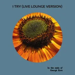 Cover art for I Try (Live Lounge Version) - George Ezra karaoke version