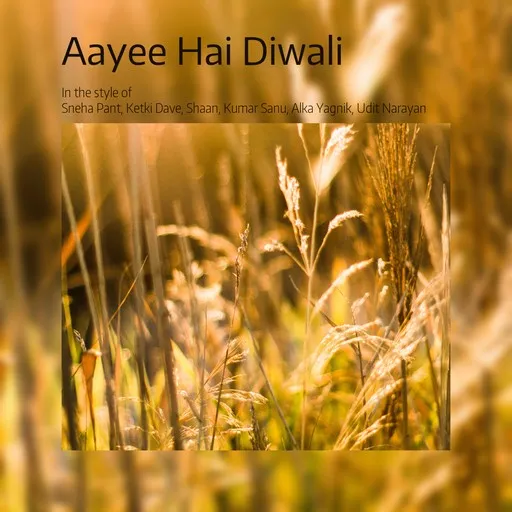 Karaoke Aayee Hai Diwali av Alka Yagnik, Ketki Dave, Kumar Sanu, Shaan, Sneha Pant, Udit Narayan — sjung med på texten på Singa