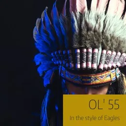 Omslagsbild för Ol' 55 - Eagles karaokeversion