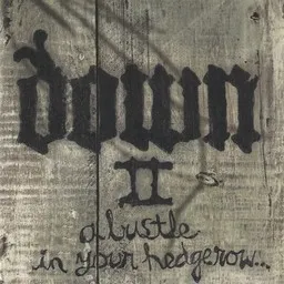 Titelbild für Down