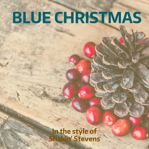 Karaoke Blue Christmas by Shakin' Stevens — sing along with lyrics on Singa