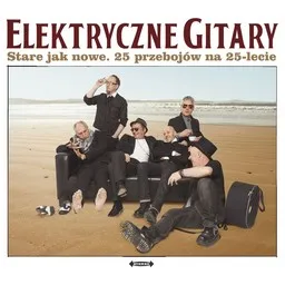 Cover art for To koniec - Elektryczne Gitary karaoke version