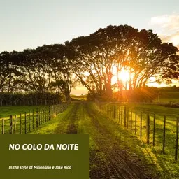 Cover art for No Colo Da Noite - Milionário e José Rico karaoke version