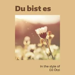 Cover art for Du bist es - DJ Ötzi karaoke version