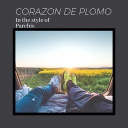Titelbild für Corazon De Plomo - Parchis Karaoke-Version